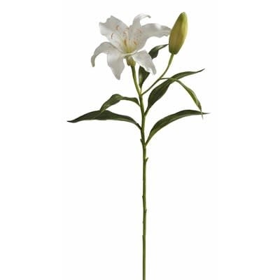 Lily 21.5'' White short