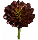 9.5" Plastic Succulent Spray (Burgundy)