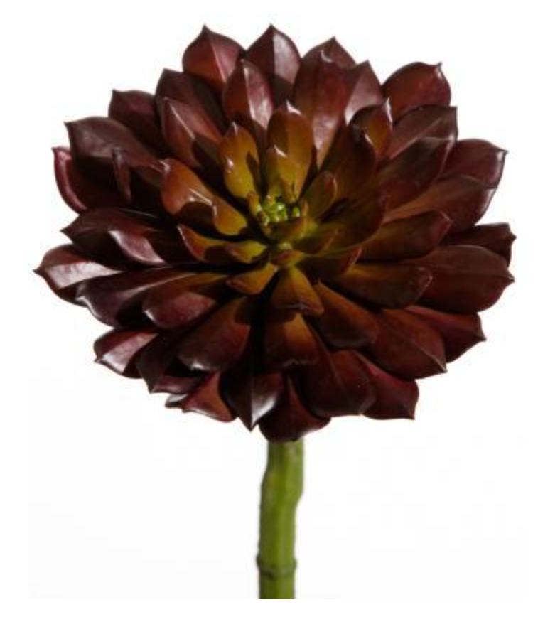9.5" Plastic Succulent Spray (Burgundy)