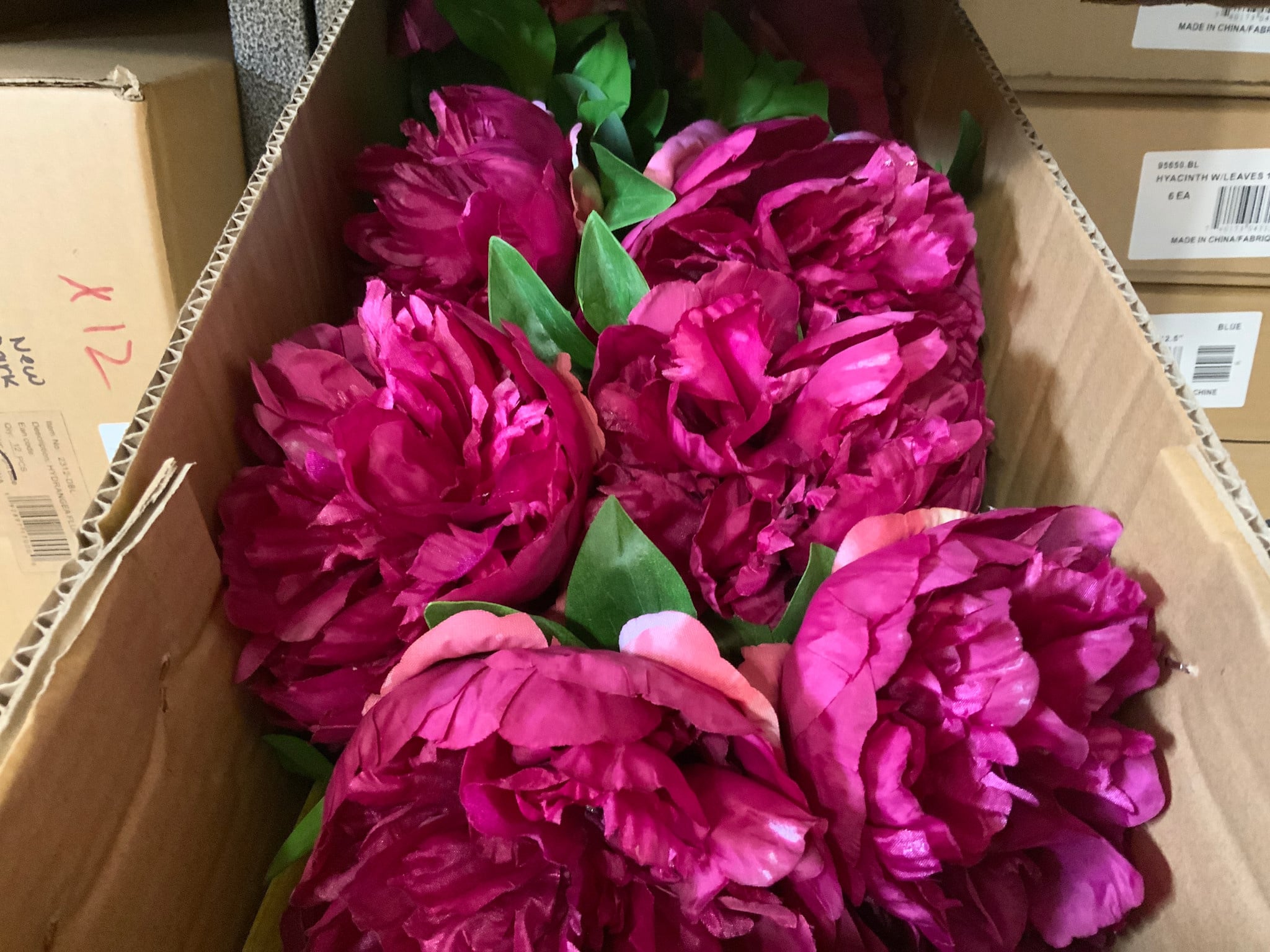 Peony Stem Fuschia