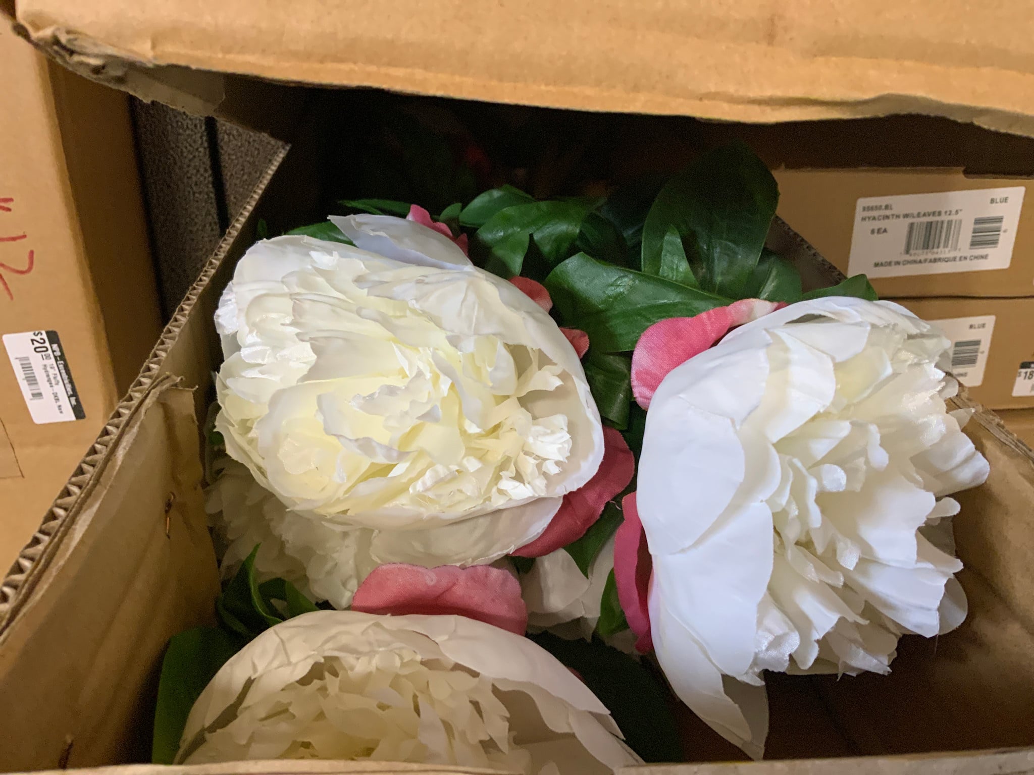 Peony Stem White