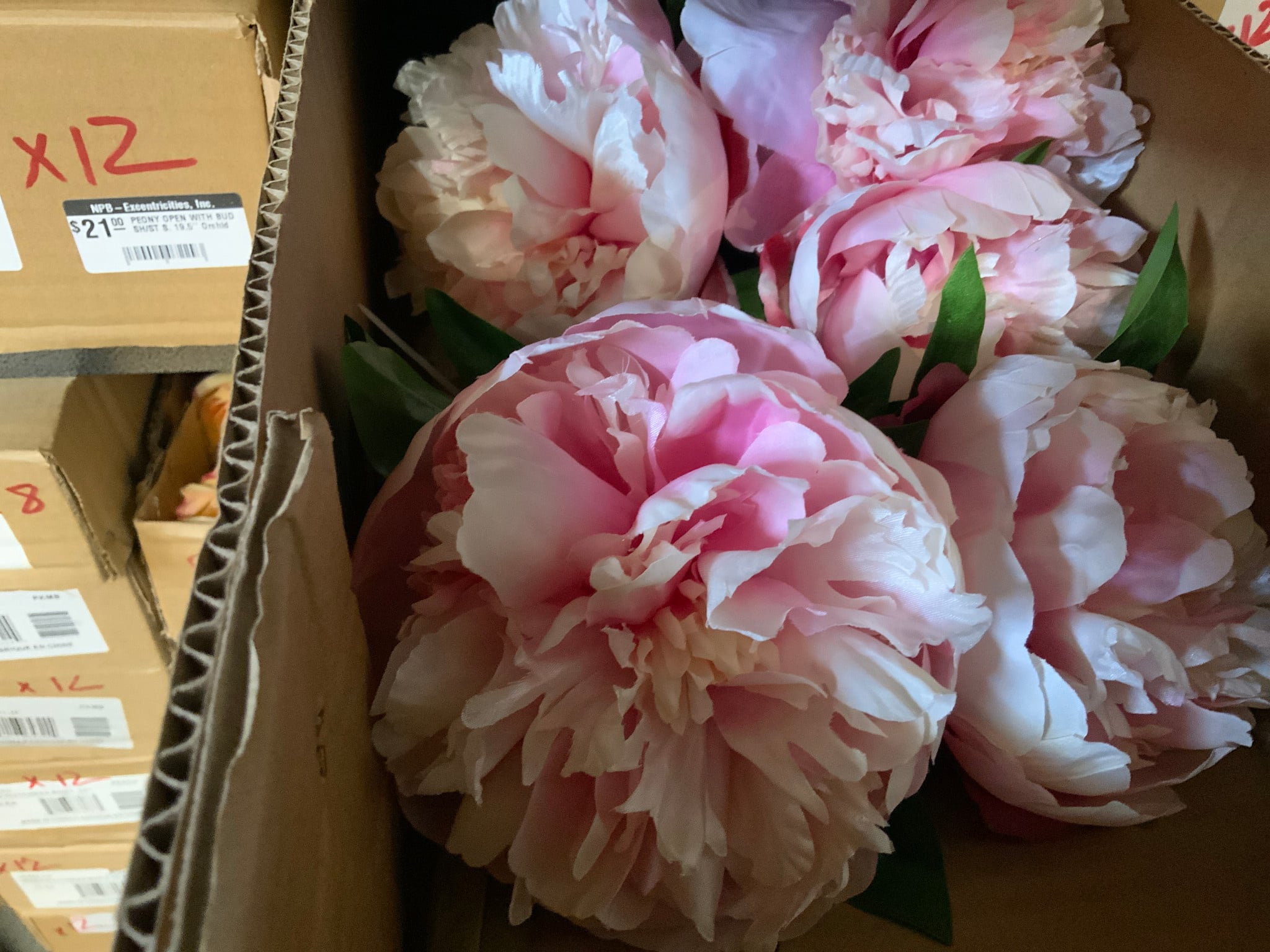 Peony Stem Hot Pink