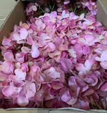 Hydrangea Stem Mauve Green