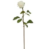 Rose Duchess Bud, S 19.5" White