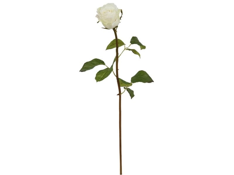 Rose Duchess Bud, S 19.5" White