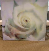 Giclee Blue & Green Rose  40 x 44