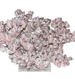 Wide Banacle Coral Creation On Acrylic Base / 22x15x14