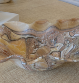 Bowl Talan / 22.8 x15.7 x7.1