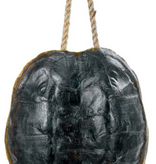 Turtle Shell Wall Decor (NAT) - 11.25"W x 4.25"D x 13"H