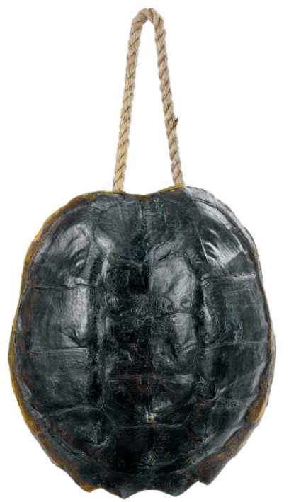 Turtle Shell Wall Decor (NAT) - 11.25"W x 4.25"D x 13"H