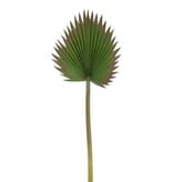 Cut Fan Palm Leaf 37''