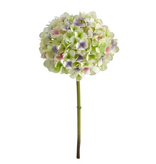 19" Hydrangea-LPU