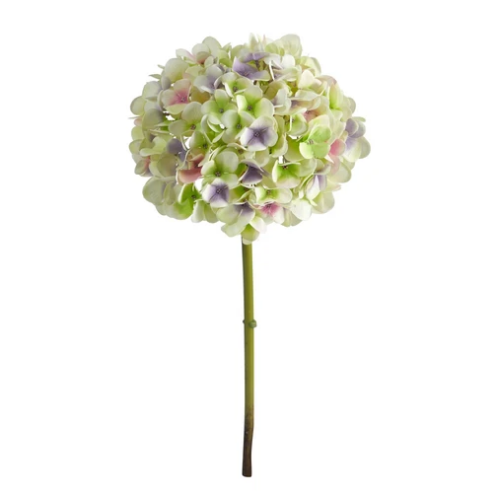 19" Hydrangea-LPU
