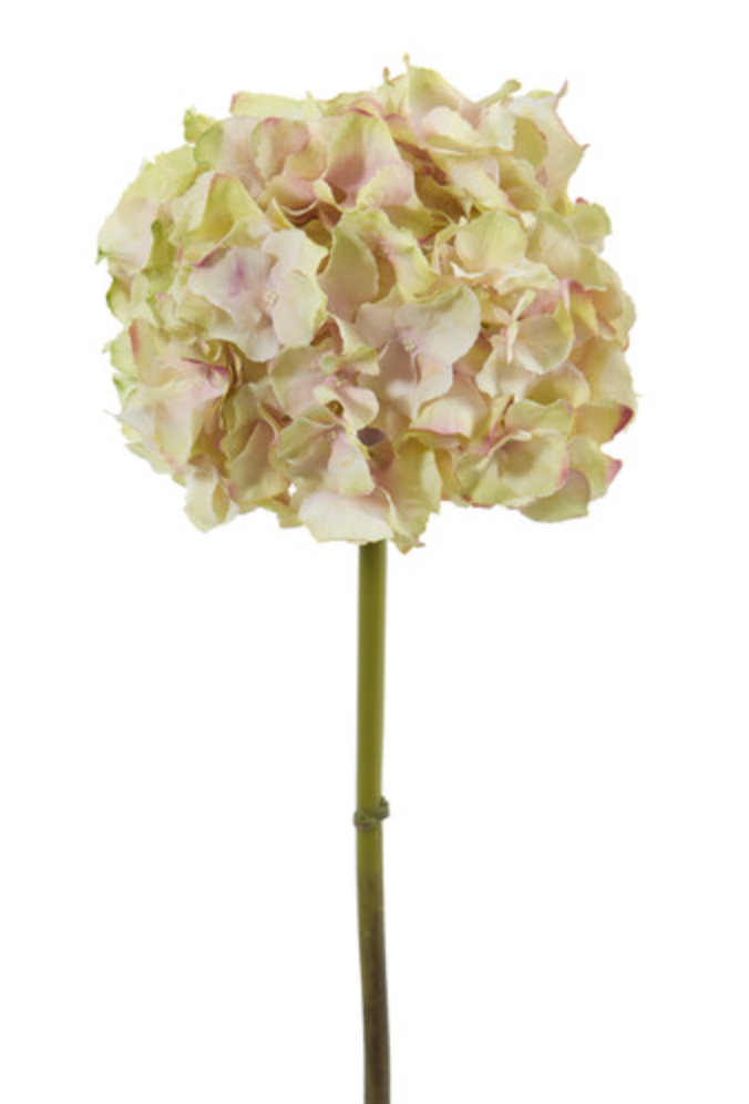 Hydrangea 18.5” - Pink
