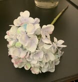 19" Hydrangea-LBGR
