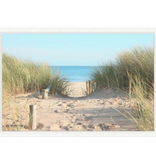 Seagrass Path - 57"w x 39"h