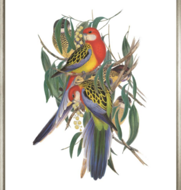 British Museum Parrots in Contemp Silver - 26" x 30"