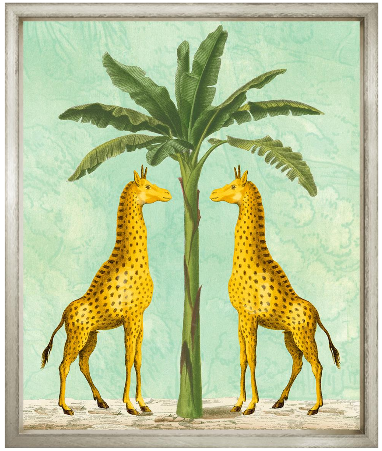 African Giraffes on Turquoise in Contemp Silver - 27" x 31"