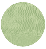 Moss Green Lizard Coaster