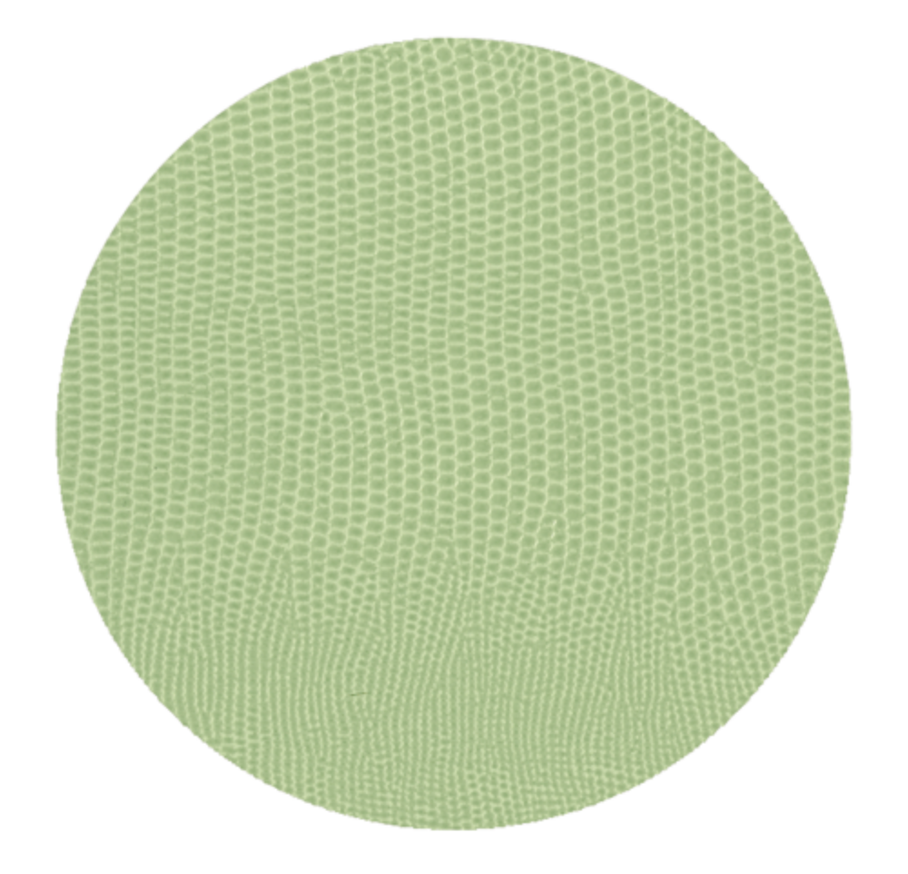 Moss Green Lizard Coaster