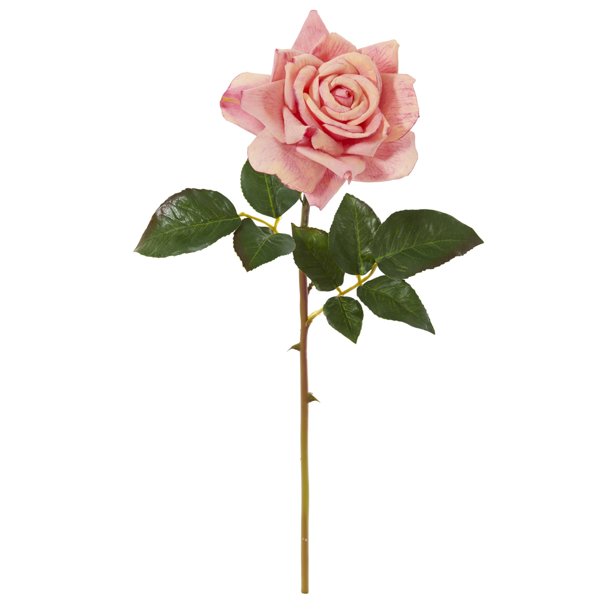 20" Open Rose Bloom-Salmon
