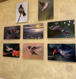 Photography on Metal Assortment