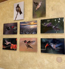 Photography on Metal Assortment