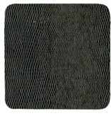 Black Lizard  square Coaster 8 In