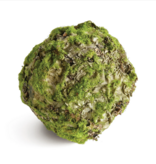 MOSSY LICHEN ORB 8.5"
