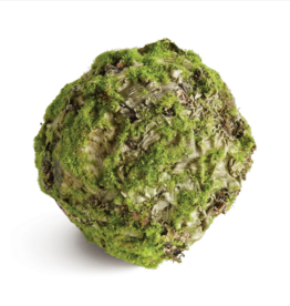 MOSSY LICHEN ORB 8.5"