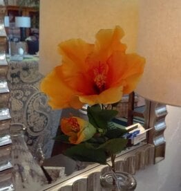 Large Yellow Hibiscus Stem