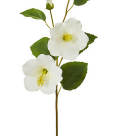 Hibiscus Flower - White