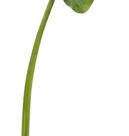Calla Leaf Small 35.5”-Green