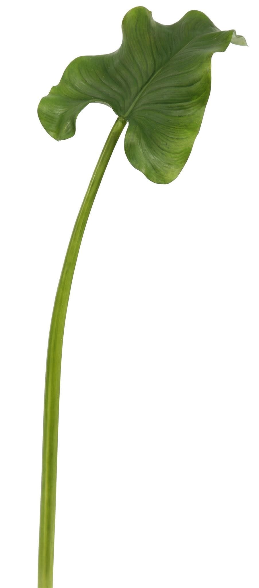 Calla Leaf Small 35.5”-Green