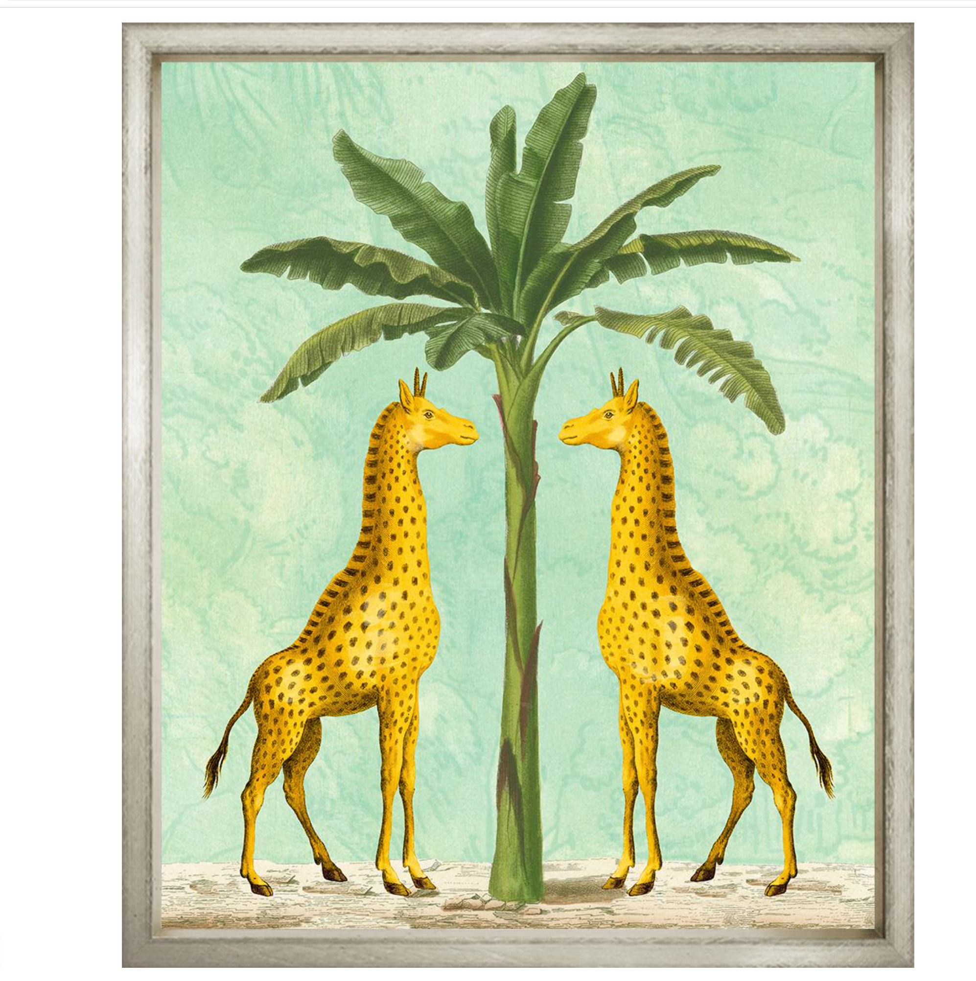 African Giraffes on Turquoise in Contemp Silver - 27" x 31"