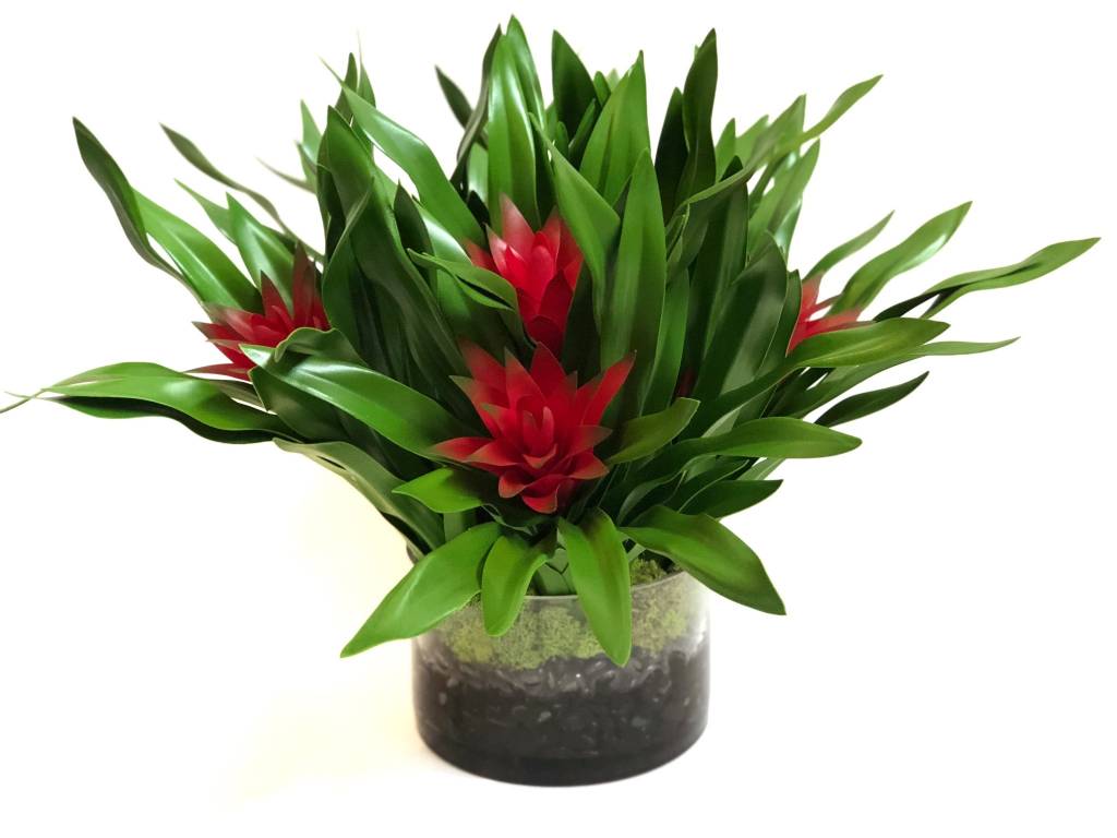 Bromeliad Plants in Faux Water with Moss (Red)