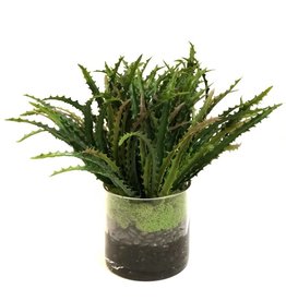 Saw Tooth Grass x3 in 5" Cylinder-Faux Water (Green)