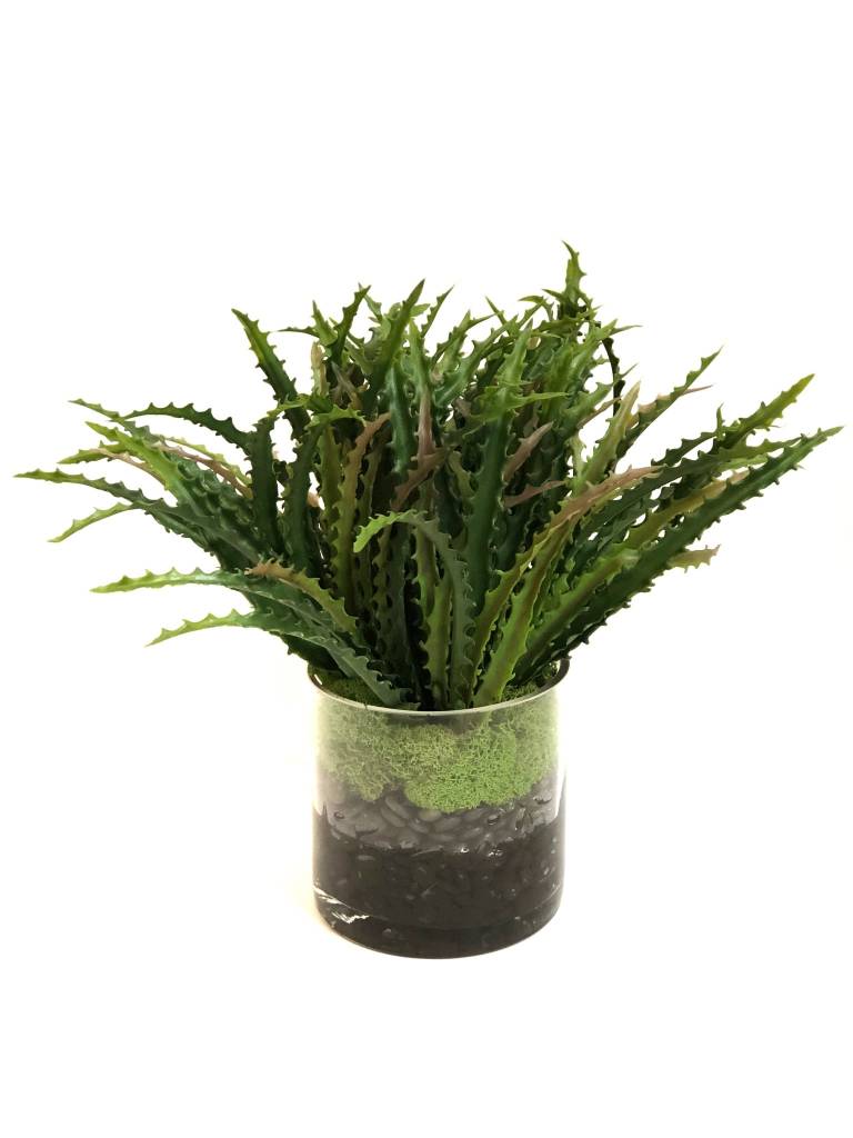 Saw Tooth Grass x3 in 5" Cylinder-Faux Water (Green)