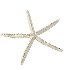 Large Starfish w/Diamonds