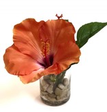 Hibiscus in 3" Cylinder with Faux Water/Stones (Coral)