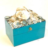 Blue Limpet Box w/Shells
