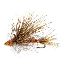 Slattery’s OD Stimulator Orange