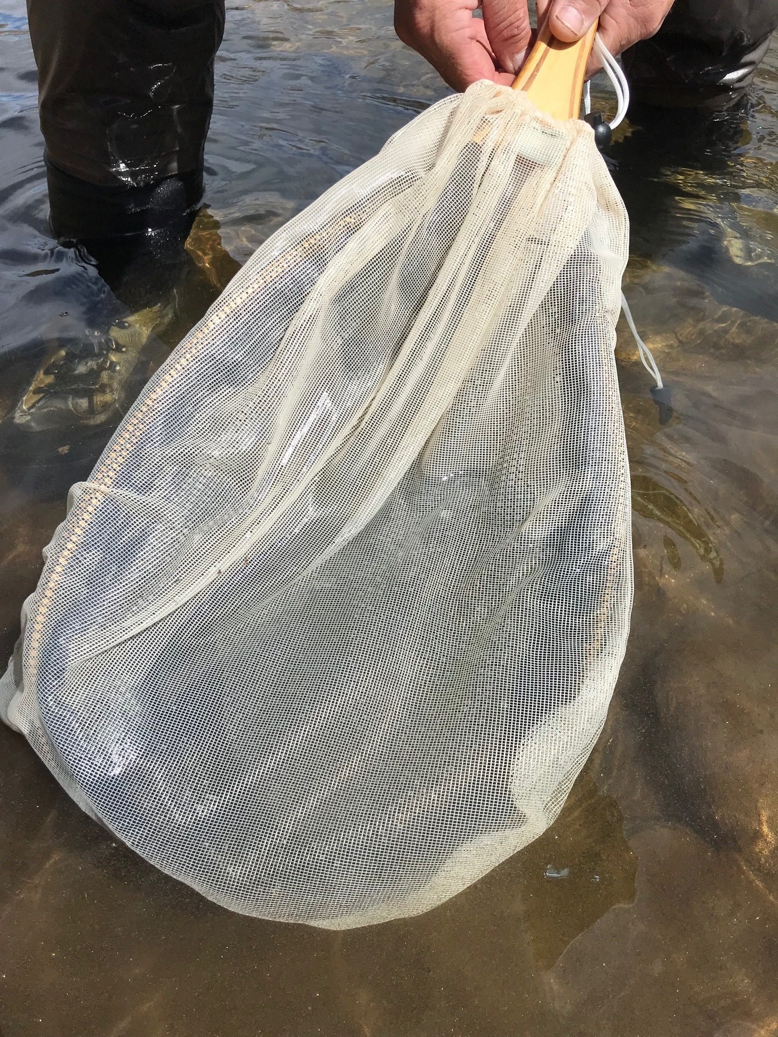 Wind River Net Seine - North Park Anglers