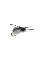 Umpqua Feather Merchants Flying Loco Beetle #12
