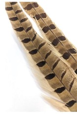 Wapsi Fly Pheasant Tail