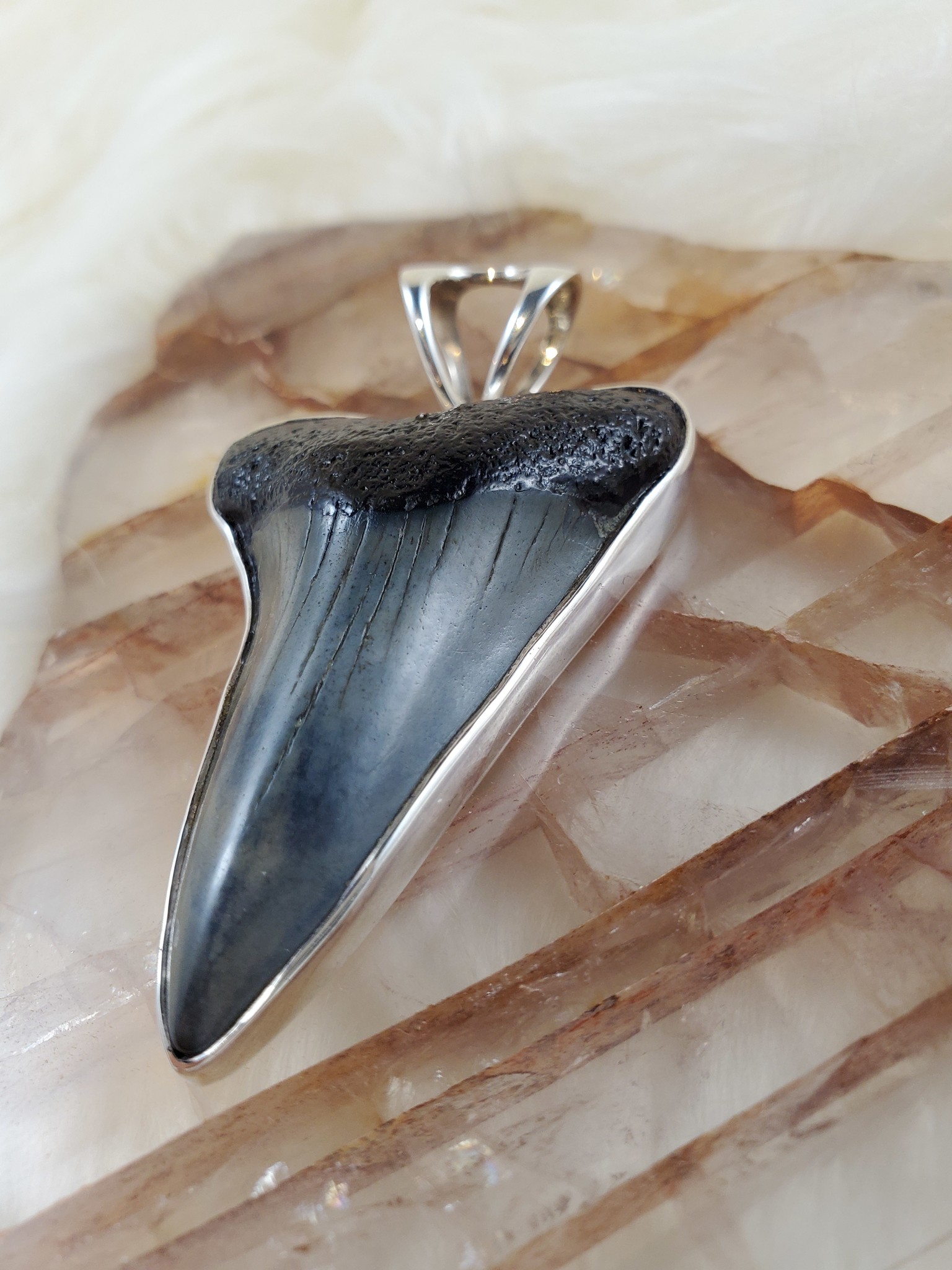 ING 059 Megalodon Tooth 45mm Pendant