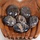Black Moonstone Palm Stone (1.5-2") Madagascar