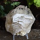Smoky Elestial Quartz Rough Crystal Specimen 530g, Brazil
