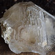 Smoky Elestial Quartz Rough Crystal Specimen 530g, Brazil