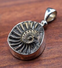 Ammonite Print Brushed with Gold Pendant